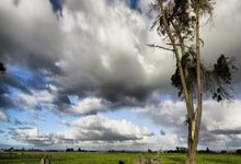 美团团购券核销 API入驻受限？零侵入低成本接口多店与 SaaS 接入